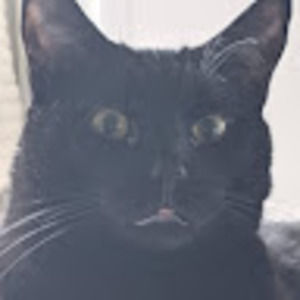 Meet your Posher, Tabitha